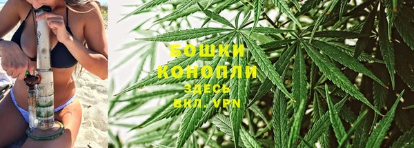 соль ск Алексеевка