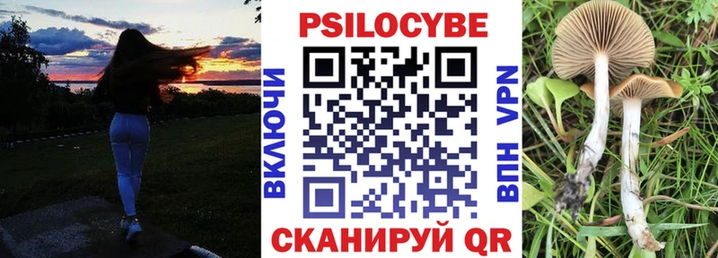 Псилоцибиновые грибы Magic Shrooms  продажа наркотиков  Луза 